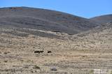 06 Hwy 95A