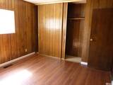6 Palomino