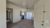 784 Hornet Drive