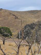 2200 Piute Creek Road