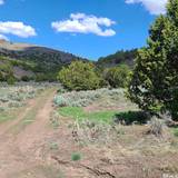 0 Left Hand Canyon Road