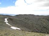 00430125 MT Davidson