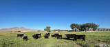 250 Olson Ranch Road