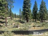 3582 Knob Point Trail #100