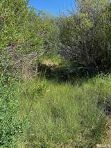 TBD El Dorado Canyon