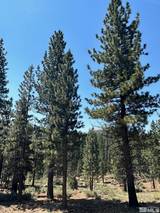 Lot 2 Raymond View