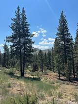 Lot 2 Raymond View