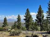 220 Overlook Drive