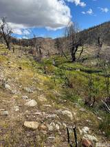 TBD parcels at Pine Nut Creek area