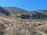 TBD parcels at Pine Nut Creek area