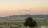 1250 Freds Mountain