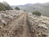 0 Quaking Aspen/Microwave Road #1,2,3,4,5,6,7