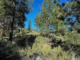 3237 Summit Camp #C31