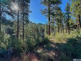 3237 Summit Camp #C31