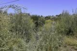 330 Veris Court #1