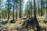 249 Redding Way #225