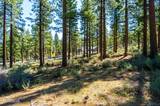 249 Redding Way #225