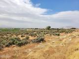 10440 Reins Way