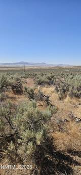 12170 Rye Patch Reservoir Road