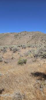 12170 Rye Patch Reservoir Road