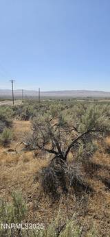 12170 Rye Patch Reservoir Road