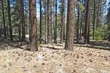 50 Pinon Road