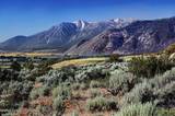 343 James Canyon Loop