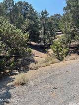 2070 Alpine Road