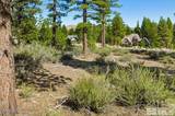 20585 Margaux Road