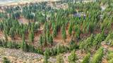 205 Timbercreek Court