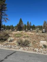 605 Sand Cherry Court