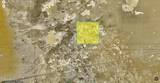 05-0331-33 Jungo area