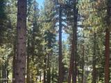 577 Fallen Leaf Way