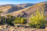 1955 Piute Creek Road #24