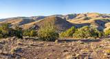 1955 Piute Creek Road #24