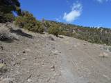2050 Scorpion Road