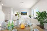 7972 Zorite Drive