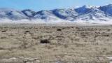00827022 W Star Peak Rd