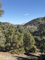 2120 Scorpion Road #212