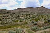 12.8 acres Snow Bowl Road