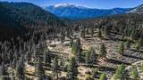 4650 Old Clear Creek Road