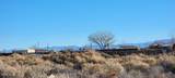 1211 Jungle Drive