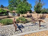 7215 Marlin Drive