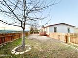 41 Vandal Way