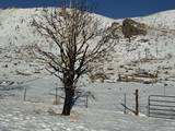 TBD Hwy 395
