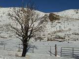 TBD Hwy 395
