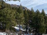 3521 Cutoff Trail #14
