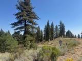 3521 Cutoff Trail #14