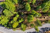 1205 Douglas Fir Drive