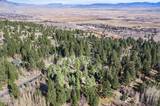 240 Forest Hill Way